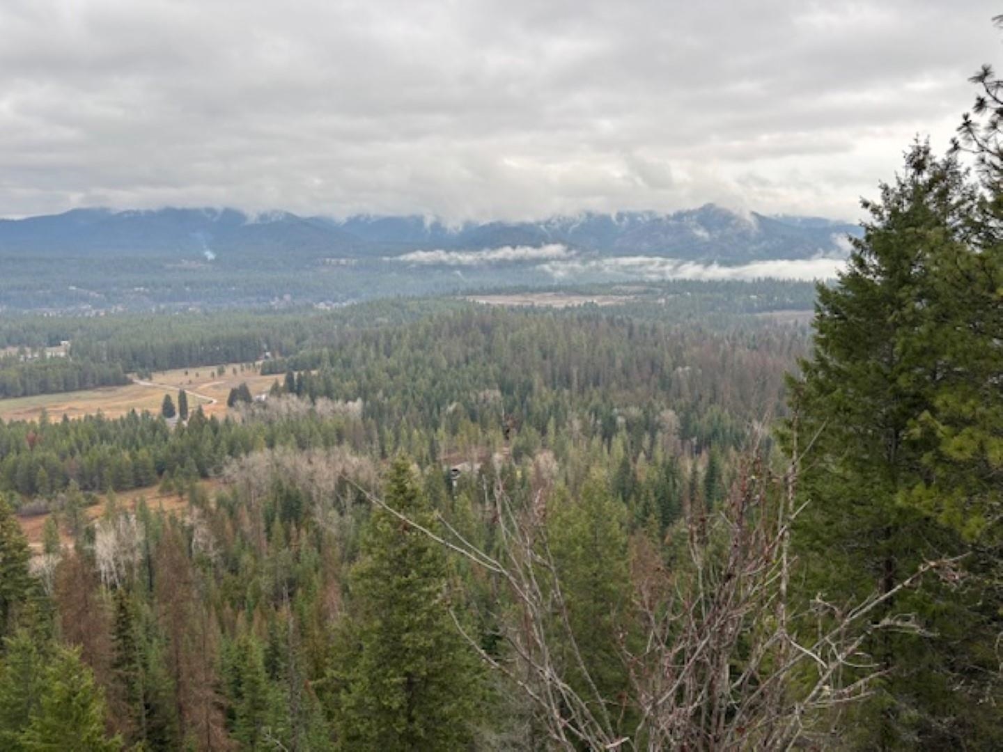 Xx South Xx S Bobier Road Newport, WA 99156 - Photo 5 of 17