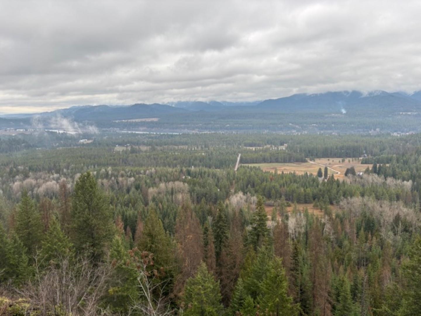 Xx South Xx S Bobier Road Newport, WA 99156 - Photo 6 of 17