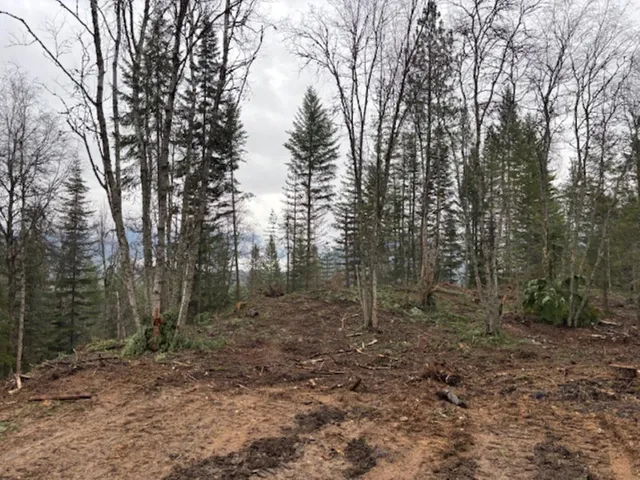 $375,000 | Xx South Xx S Bobier Road, Newport, WA 99156