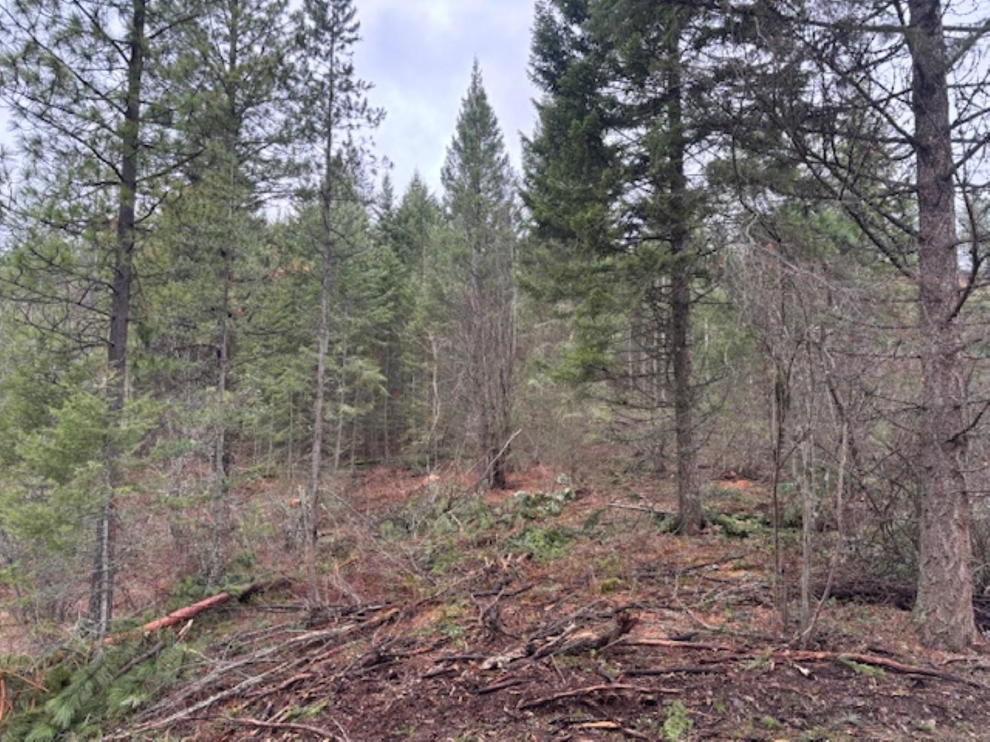 Xx South Xx S Bobier Road Newport, WA 99156 - Photo 8 of 17