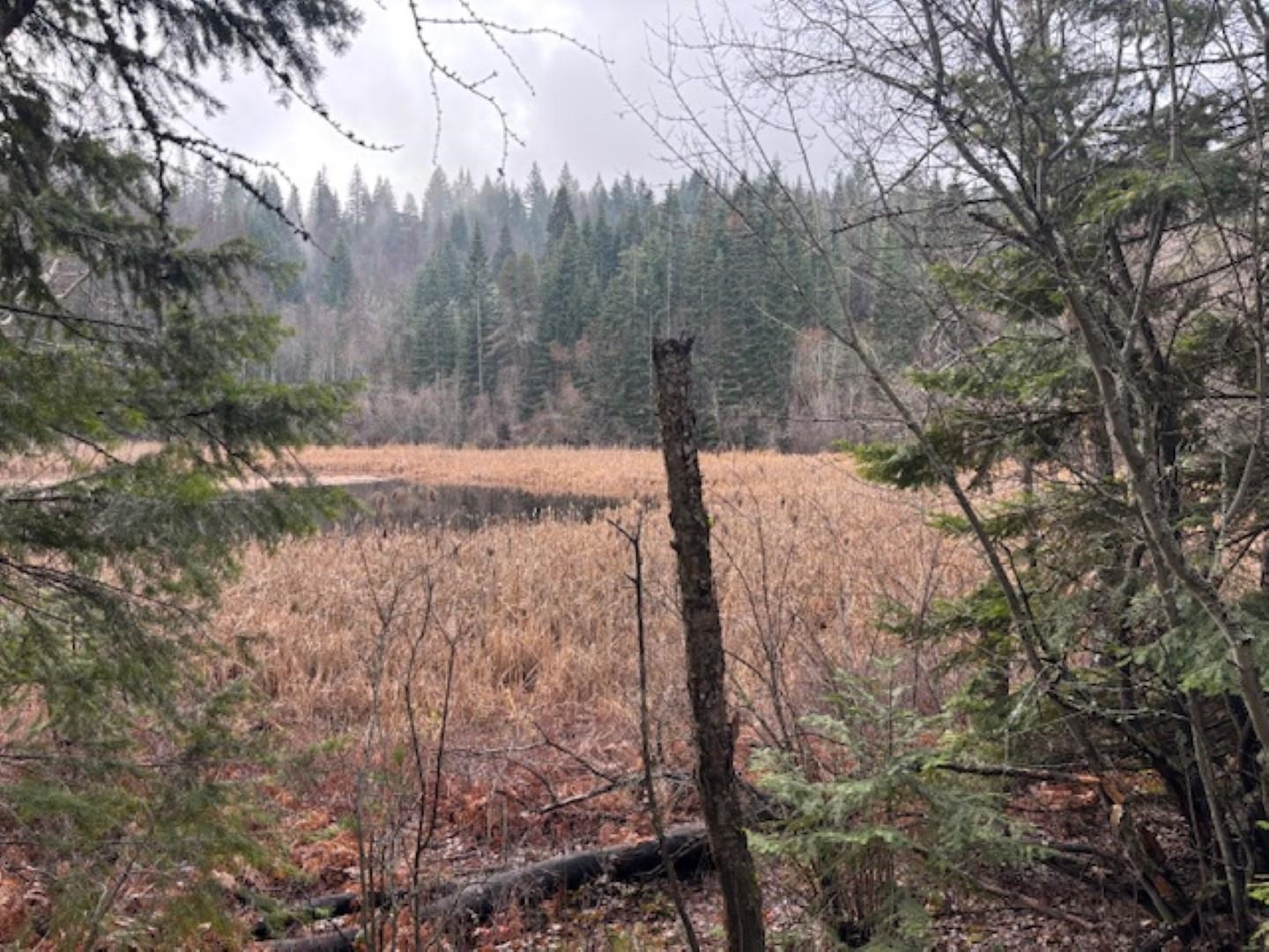 Xx South Xx S Bobier Road Newport, WA 99156 - Photo 9 of 17