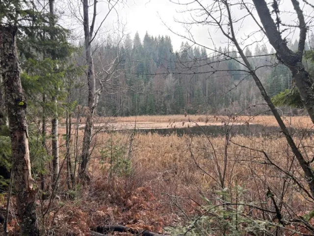 $375,000 | Xx South Xx S Bobier Road, Newport, WA 99156