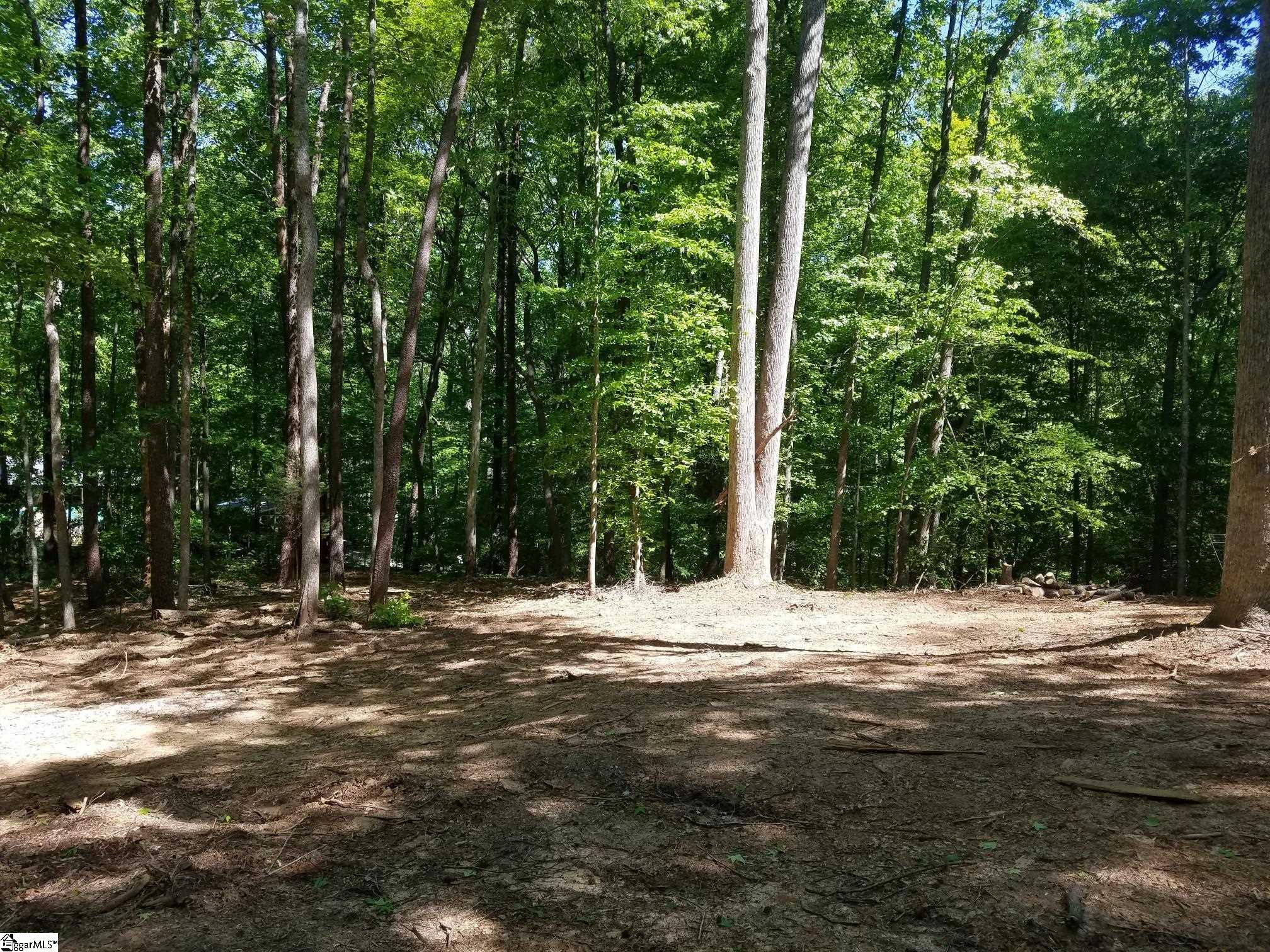 123 Ioka Hills Road Tryon, NC 28782 - Photo 1 of 9