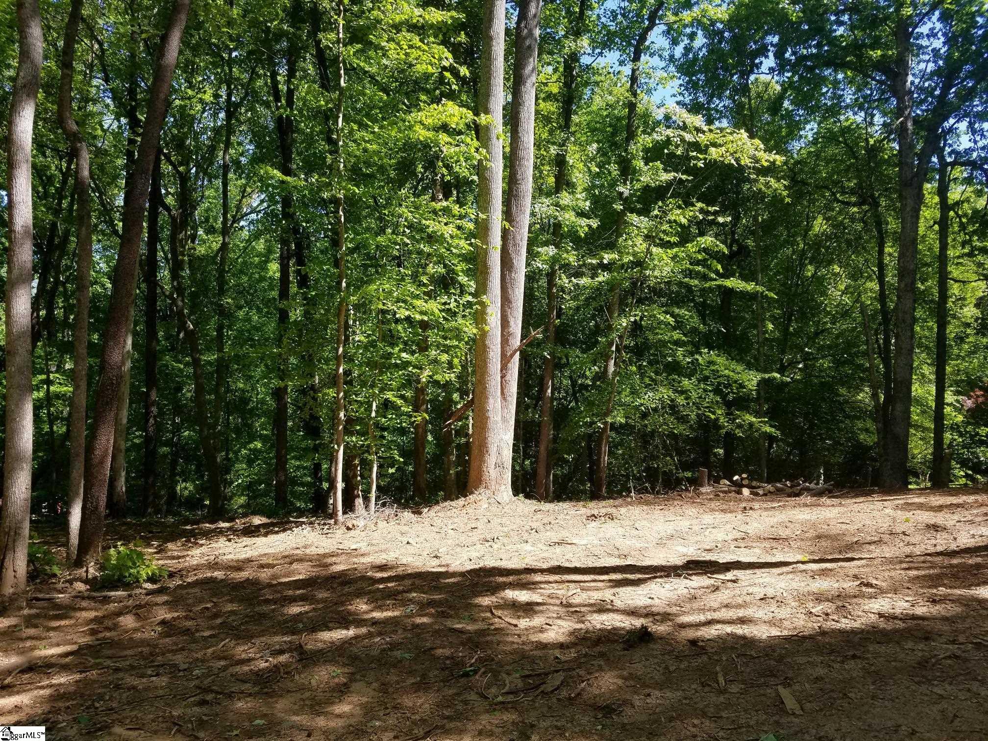 123 Ioka Hills Road Tryon, NC 28782 - Photo 6 of 9