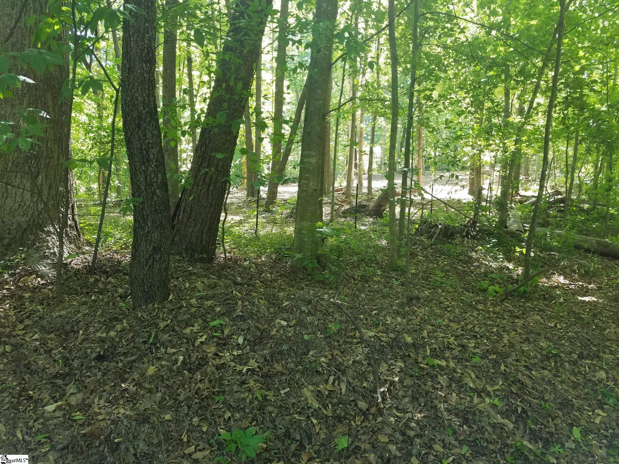 123 Ioka Hills Road Tryon, NC 28782 - Photo 8 of 9
