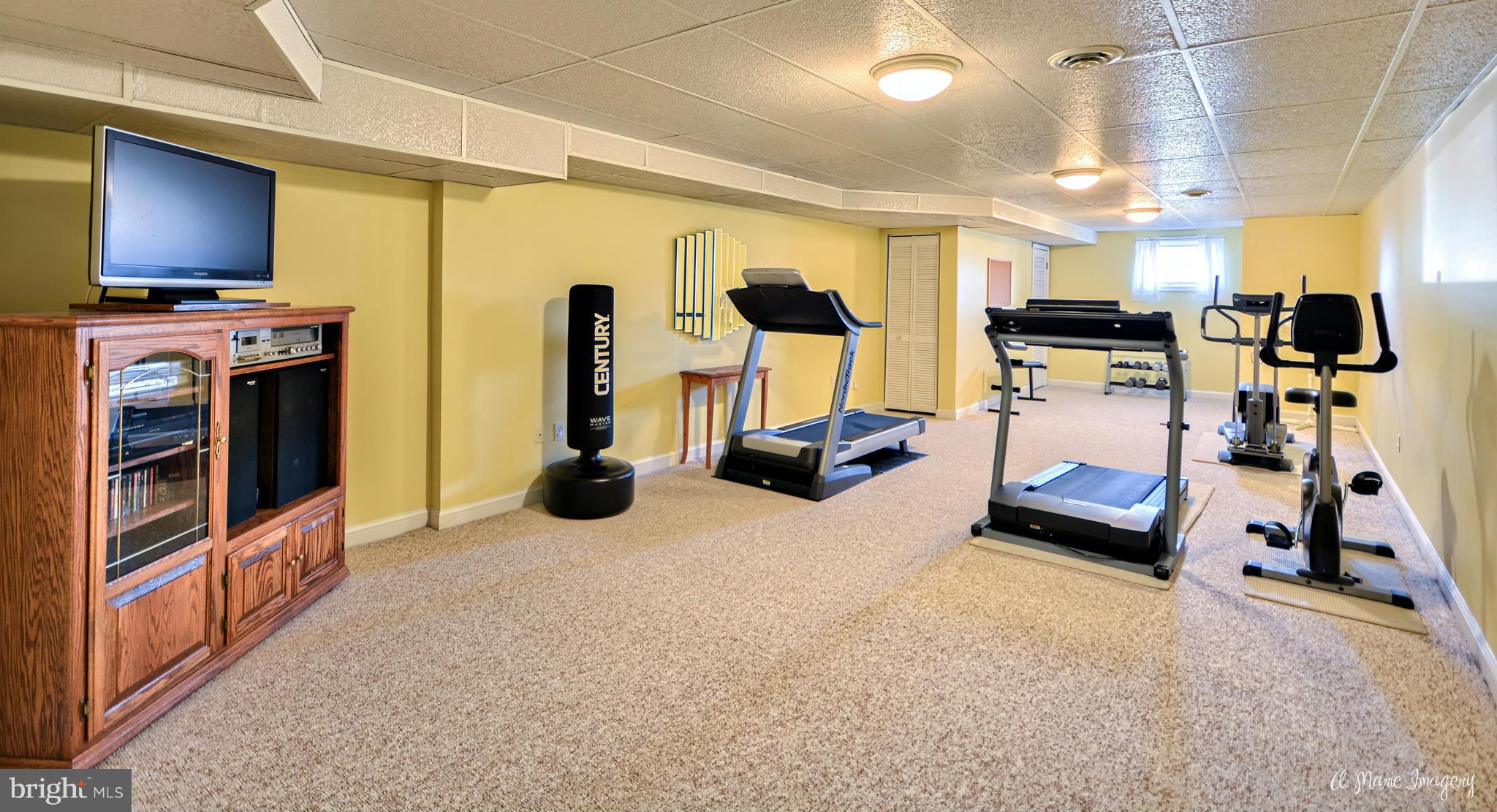 3609 Fry Road Jefferson, MD 21755 - Photo 27 of 30 Basement