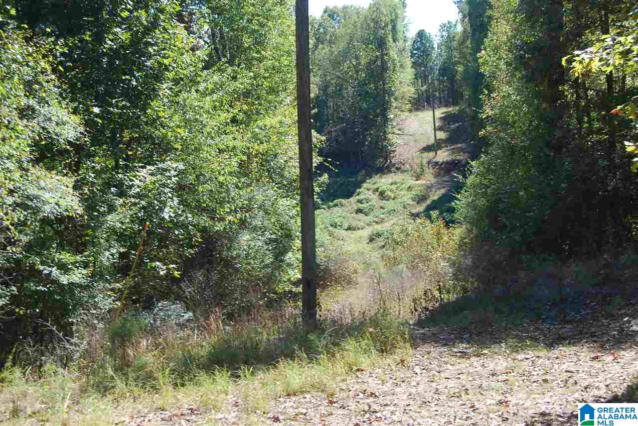 Ranch Marina Road, Unit 1 Pell City, AL 35128 - Photo 7 of 10