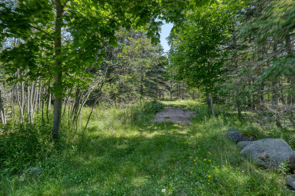 68 Tea Hill Road Stonington, ME 04681 - Photo 13 of 29 68 Tea Hill Land
