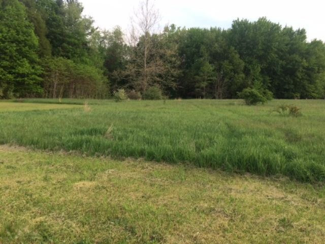 5344 Becht Road Coloma, MI 49038 - Photo 1 of 7 IMG_6162