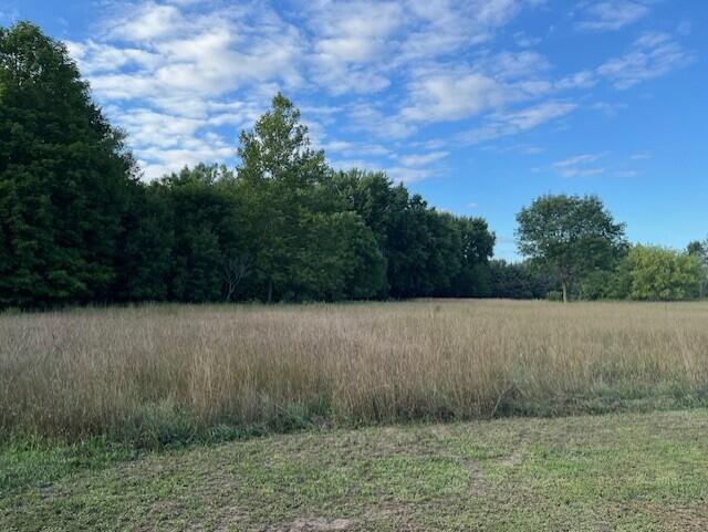 5344 Becht Road Coloma, MI 49038 - Photo 5 of 7 Becht Rd_5344 photo 6