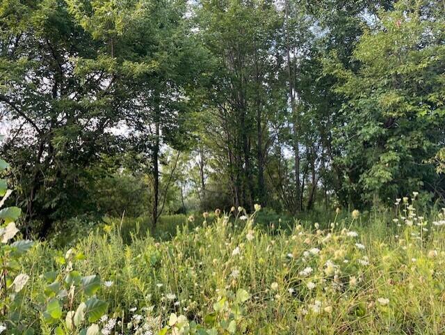 5344 Becht Road Coloma, MI 49038 - Photo 6 of 7 Becht Rd_5344 photo 2