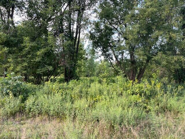 5344 Becht Road Coloma, MI 49038 - Photo 7 of 7 Becht Rd_5344 photo 5