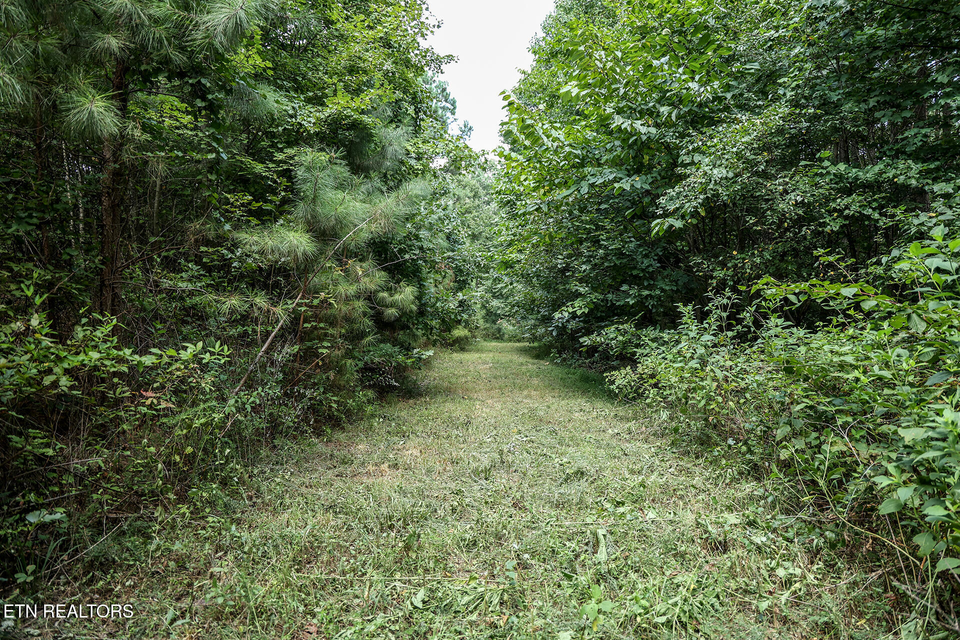 9 Flatwoods Road Philadelphia, TN 37846 - Photo 22 of 33 Flatwoods 22