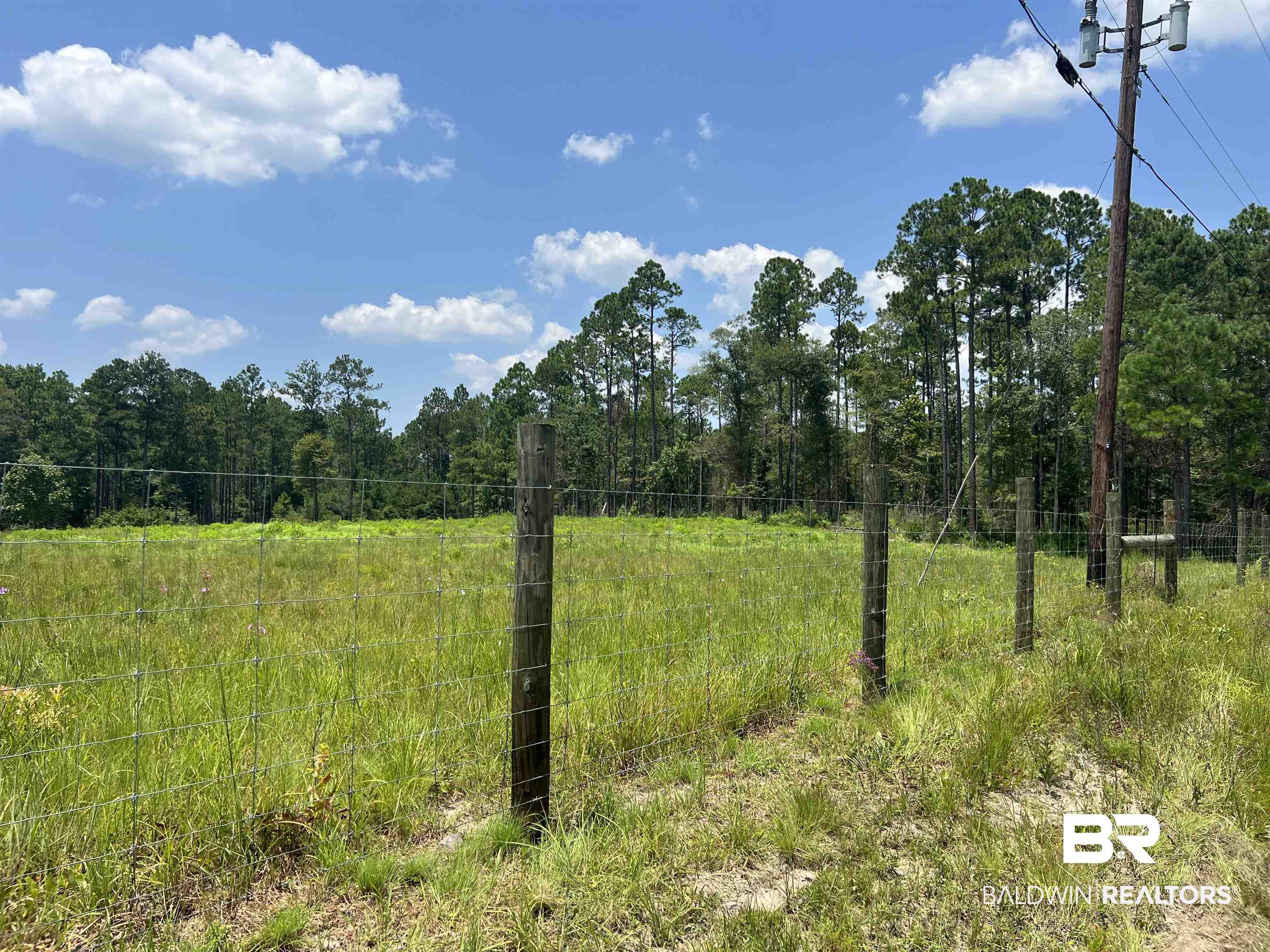 0 Beverly Jefferies Highway Citronelle, AL 36522 - Photo 4 of 19