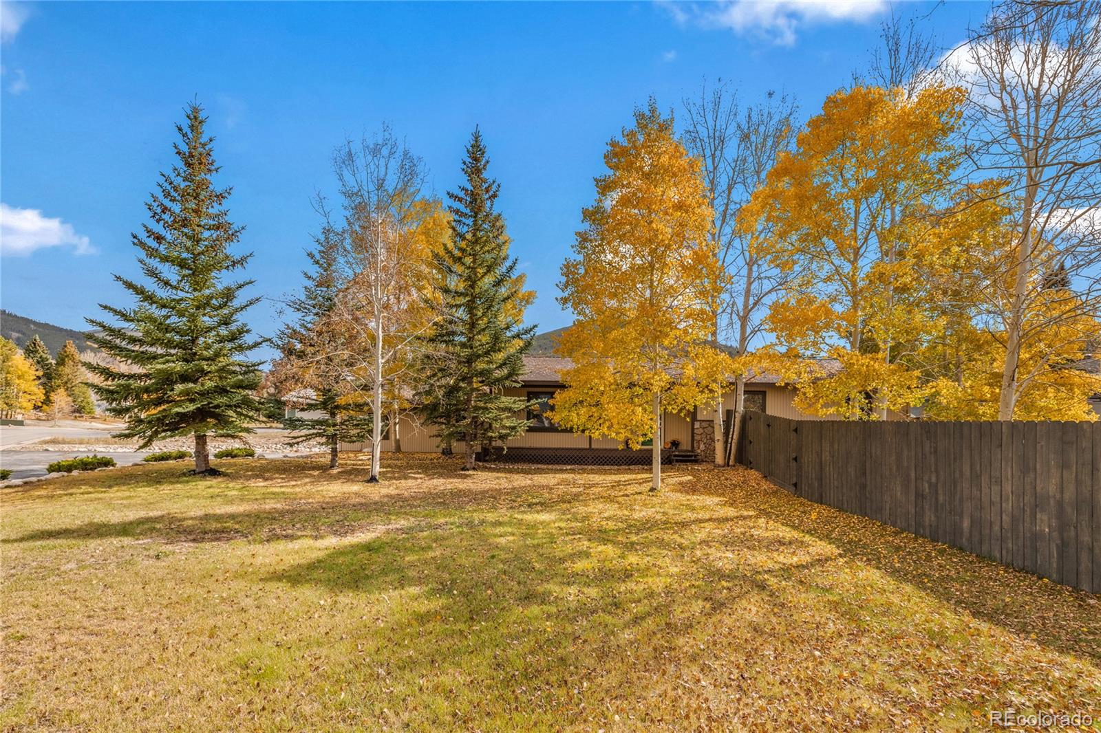 154 Big Elk Road Dillon, CO 80435 - Photo 22 of 46