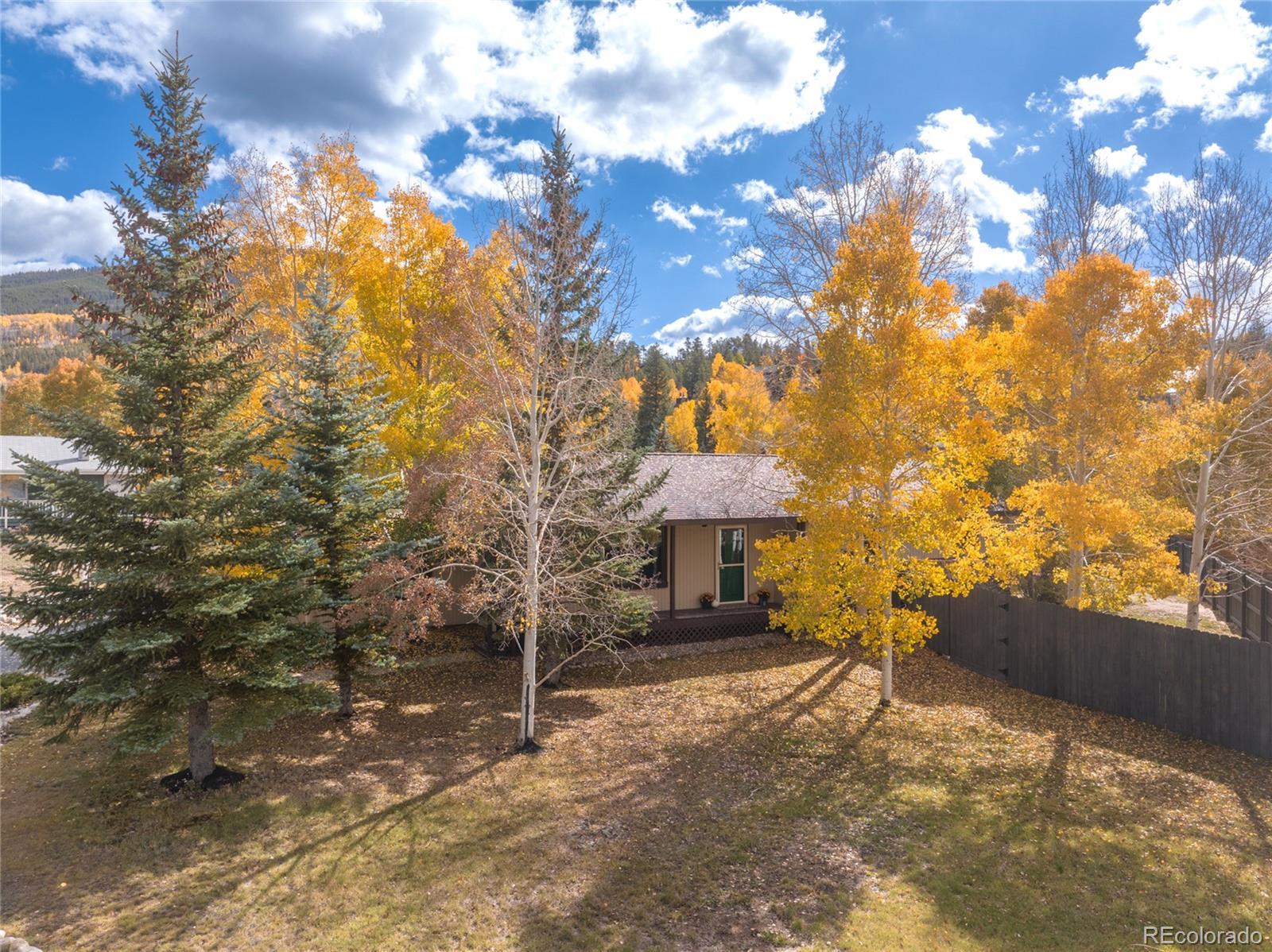 154 Big Elk Road Dillon, CO 80435 - Photo 10 of 46