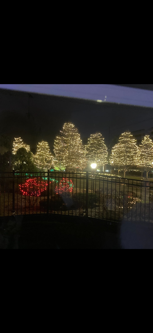 10508 Golf Road Orland Park, IL 60462 - Photo 47 of 50