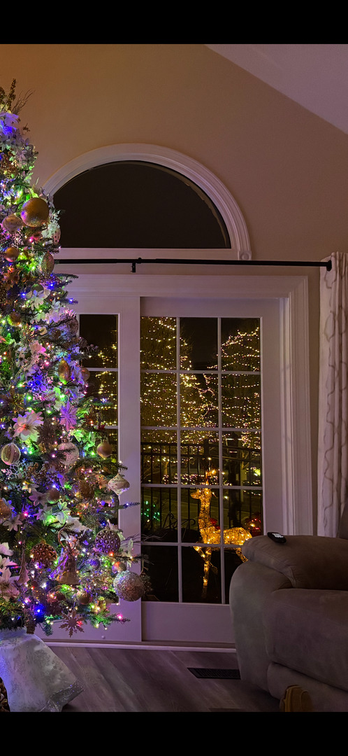 10508 Golf Road Orland Park, IL 60462 - Photo 48 of 50 a front view of a house with a yard