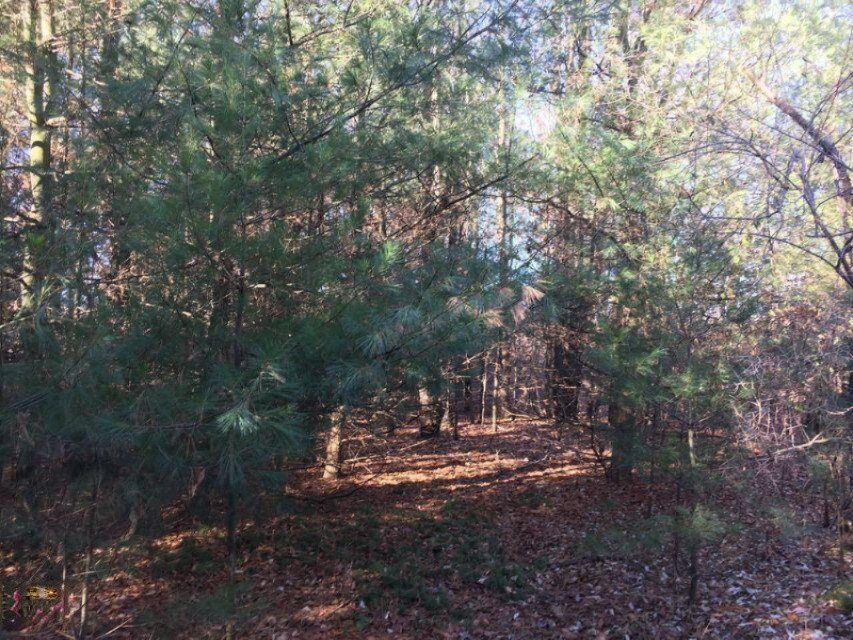 125 West Adams Road Hart, MI 49420 - Photo 6 of 8