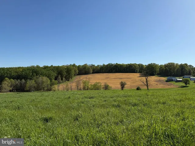 a view of an outdoor space