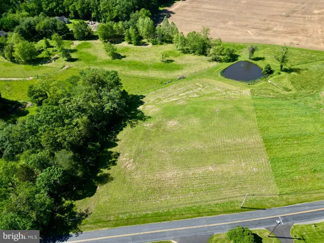 a bathroom with a sink and garden