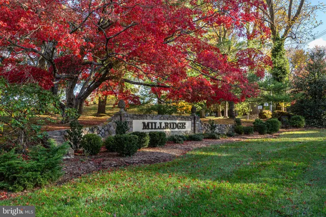 a view of a park that has large trees