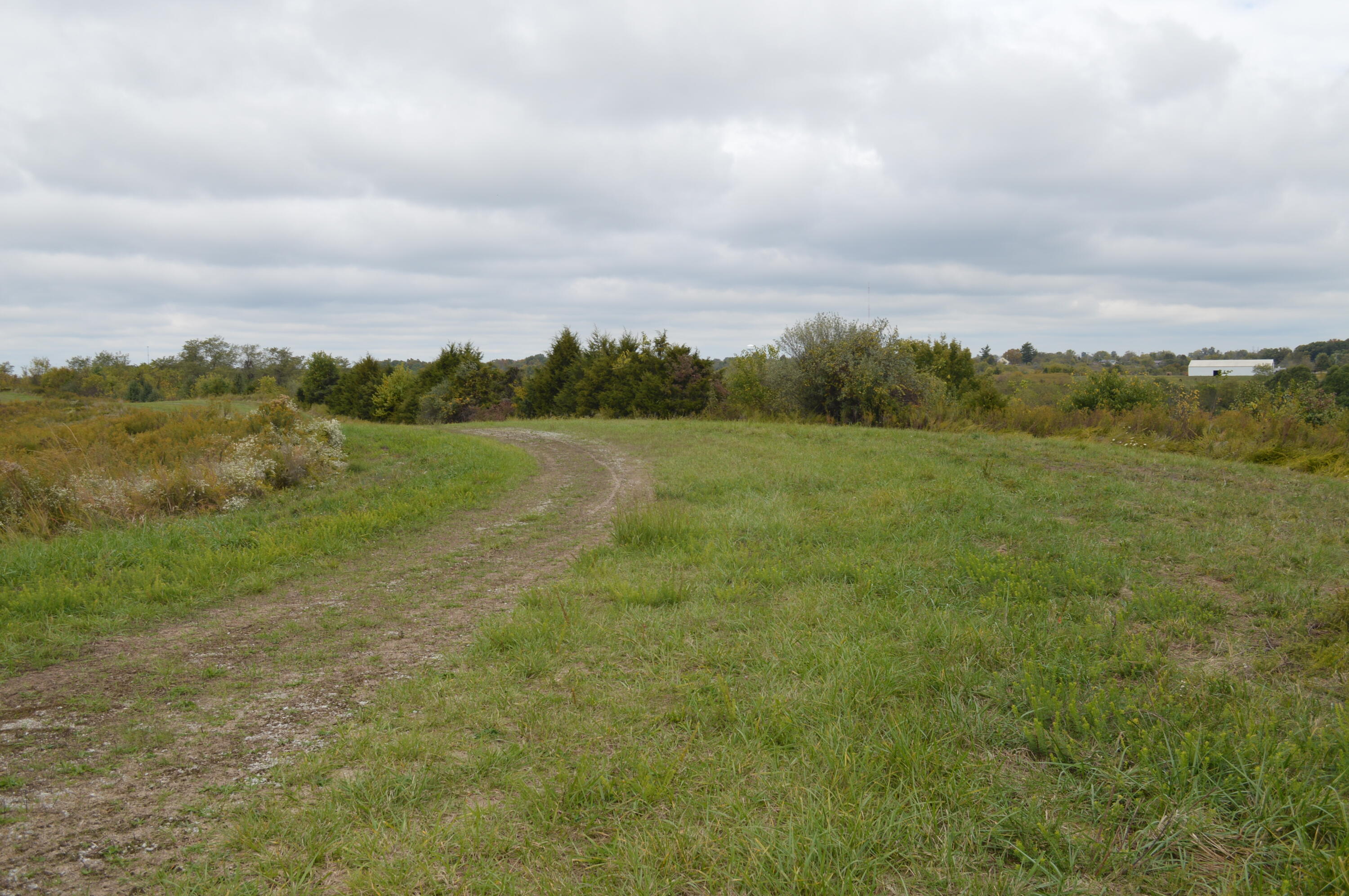 Lot #6 Georgetown Road Owenton, KY 40359 - Photo 6 of 24