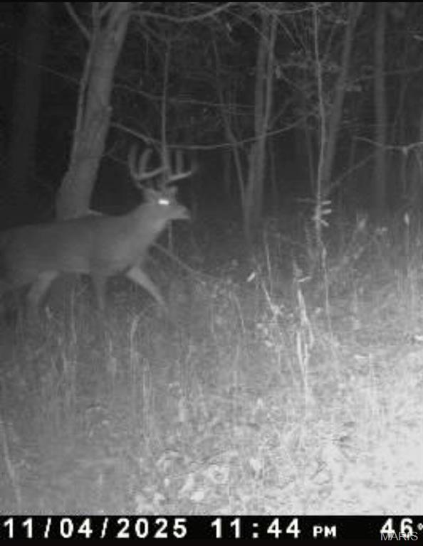 0 Church Road Salem, IL 62881 - Photo 29 of 29