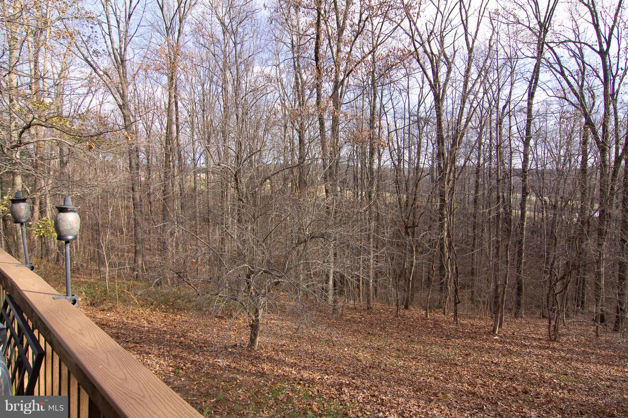 3811 Old Hanover Road Westminster, MD 21158 - Photo 33 of 34 View of wooded lot from rear deck.