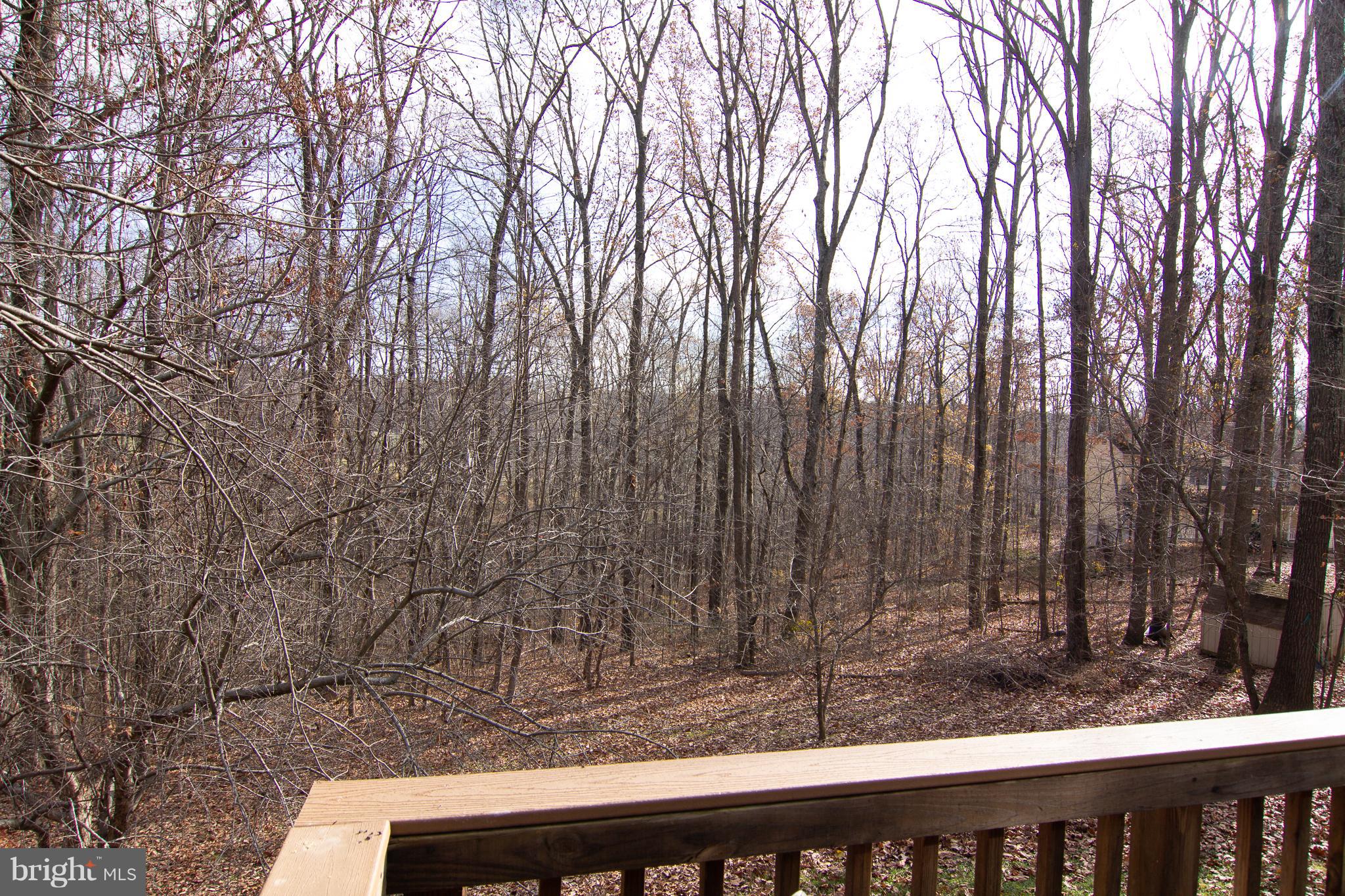 3811 Old Hanover Road Westminster, MD 21158 - Photo 34 of 34 Enjoy the view from deck of Nature at its BEST