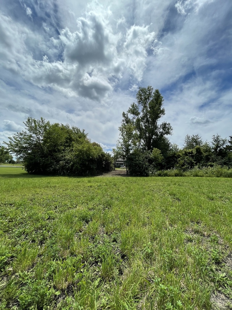 a view of a field of grass and trees