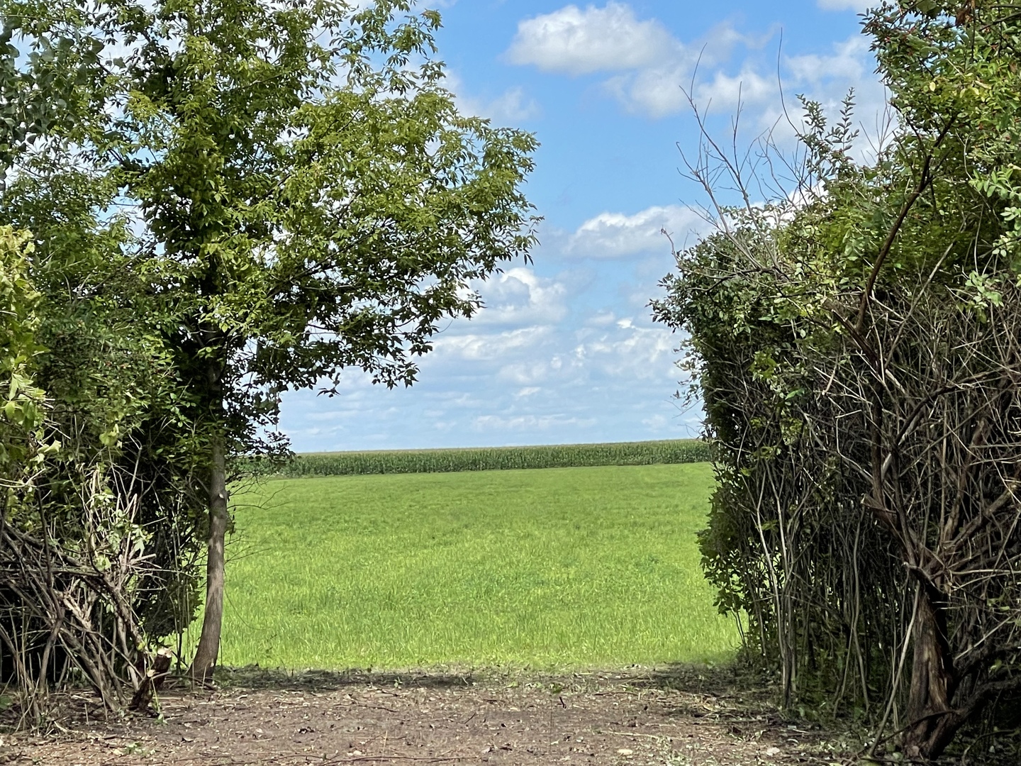 8702 Regnier Road Hebron, IL 60034 - Photo 3 of 19