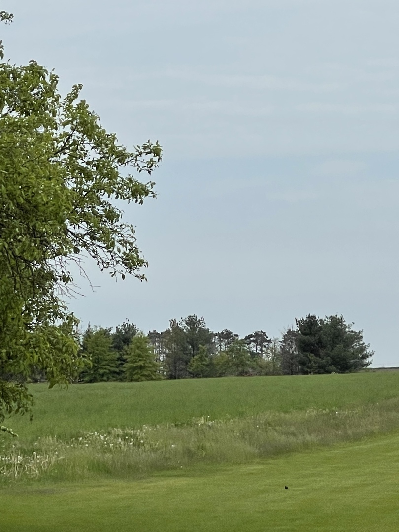 8702 Regnier Road Hebron, IL 60034 - Photo 4 of 19 a view of a field with an trees