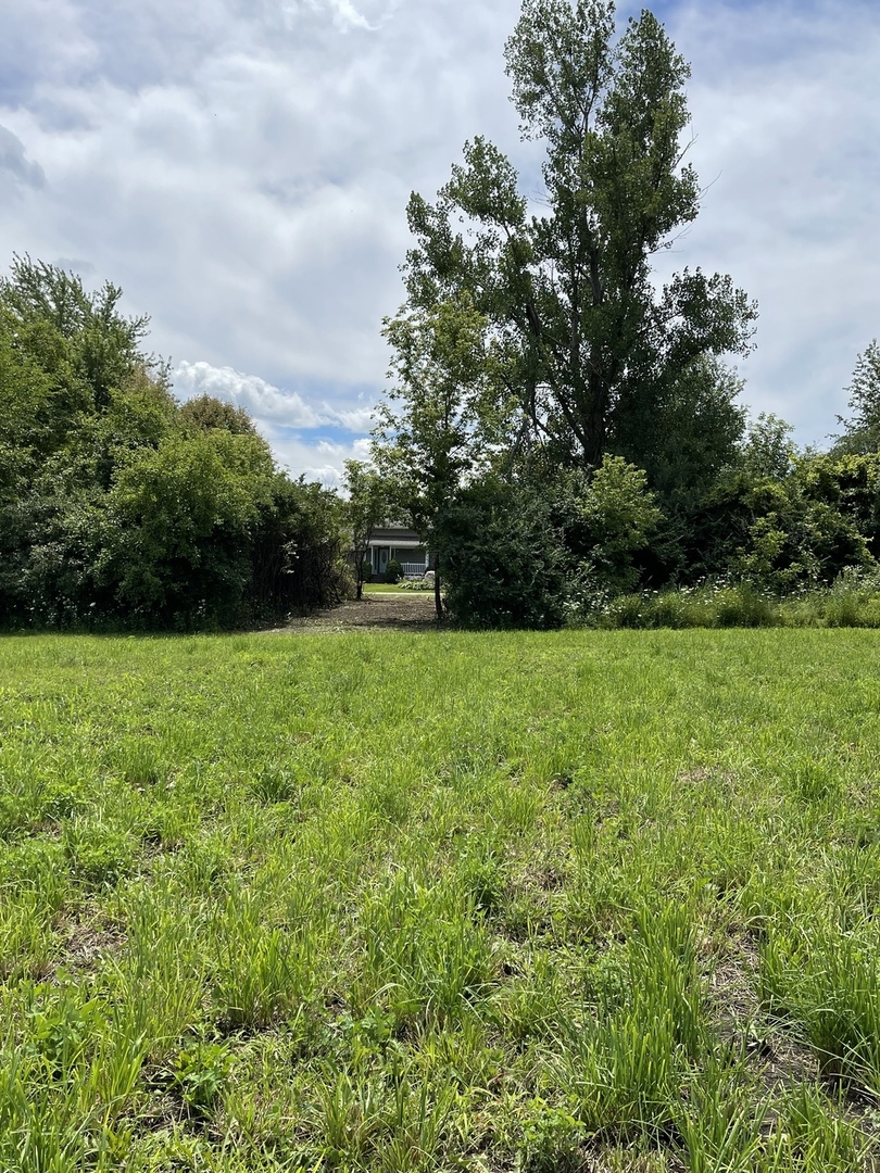 8702 Regnier Road Hebron, IL 60034 - Photo 6 of 19 a view of yard with grass & green space