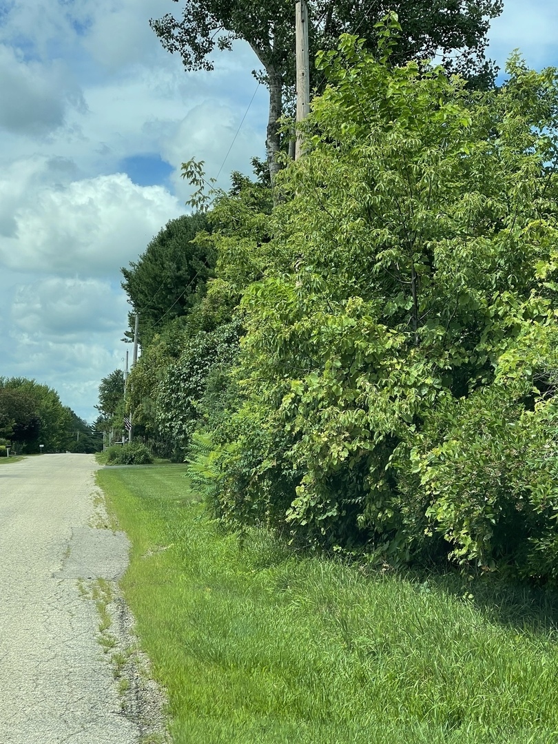 8702 Regnier Road Hebron, IL 60034 - Photo 7 of 19 a view of a yard with a tree