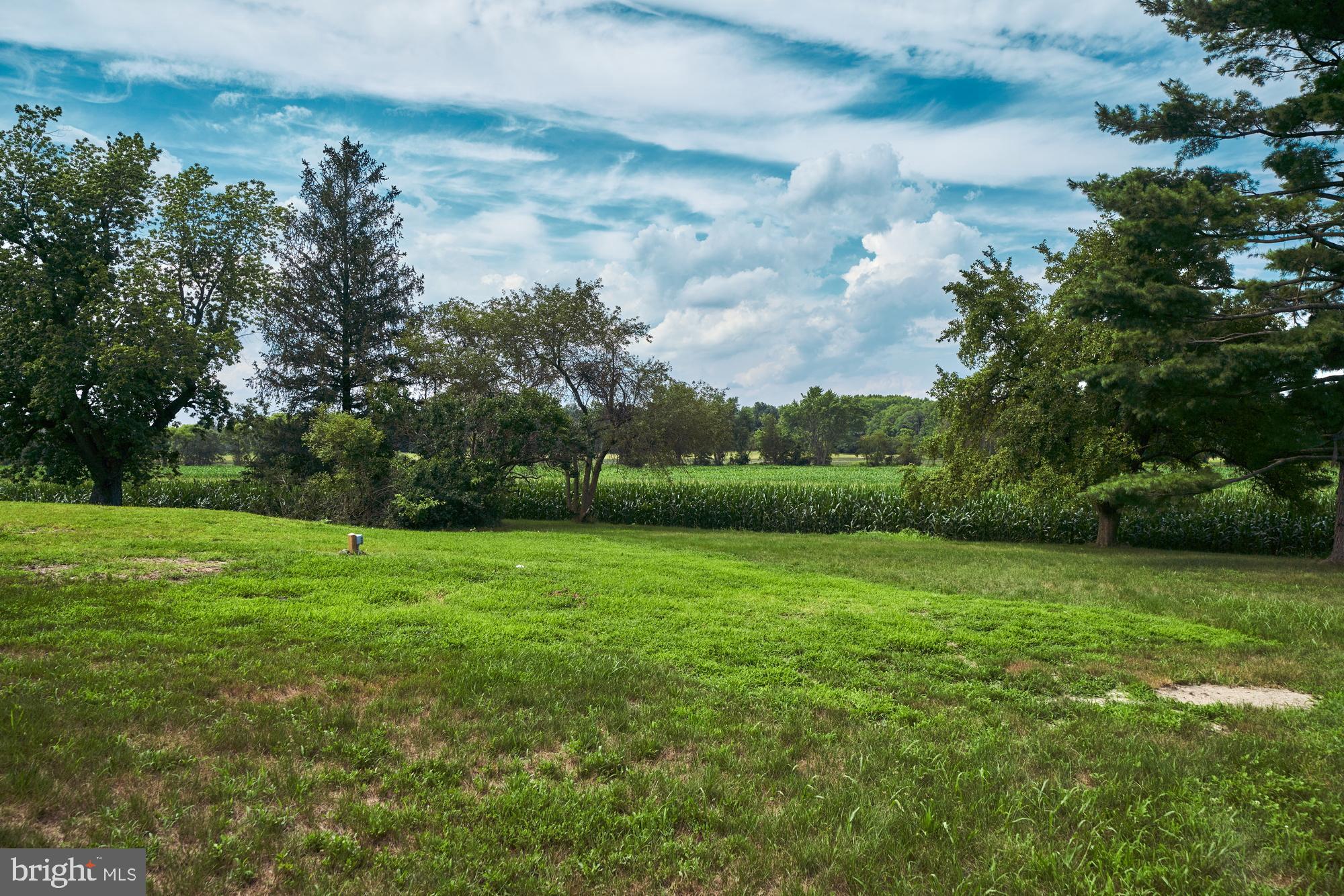 251 Juliustown Road Jobstown, NJ 08041 - Photo 38 of 114