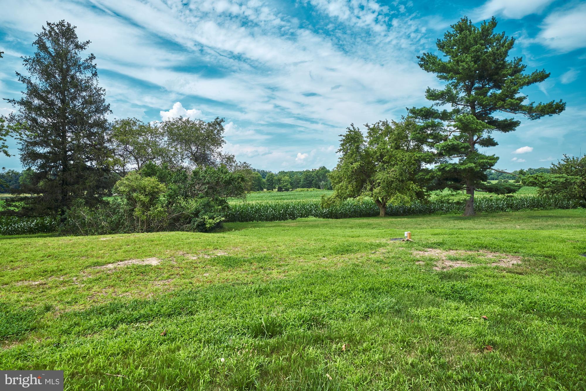 251 Juliustown Road Jobstown, NJ 08041 - Photo 40 of 114