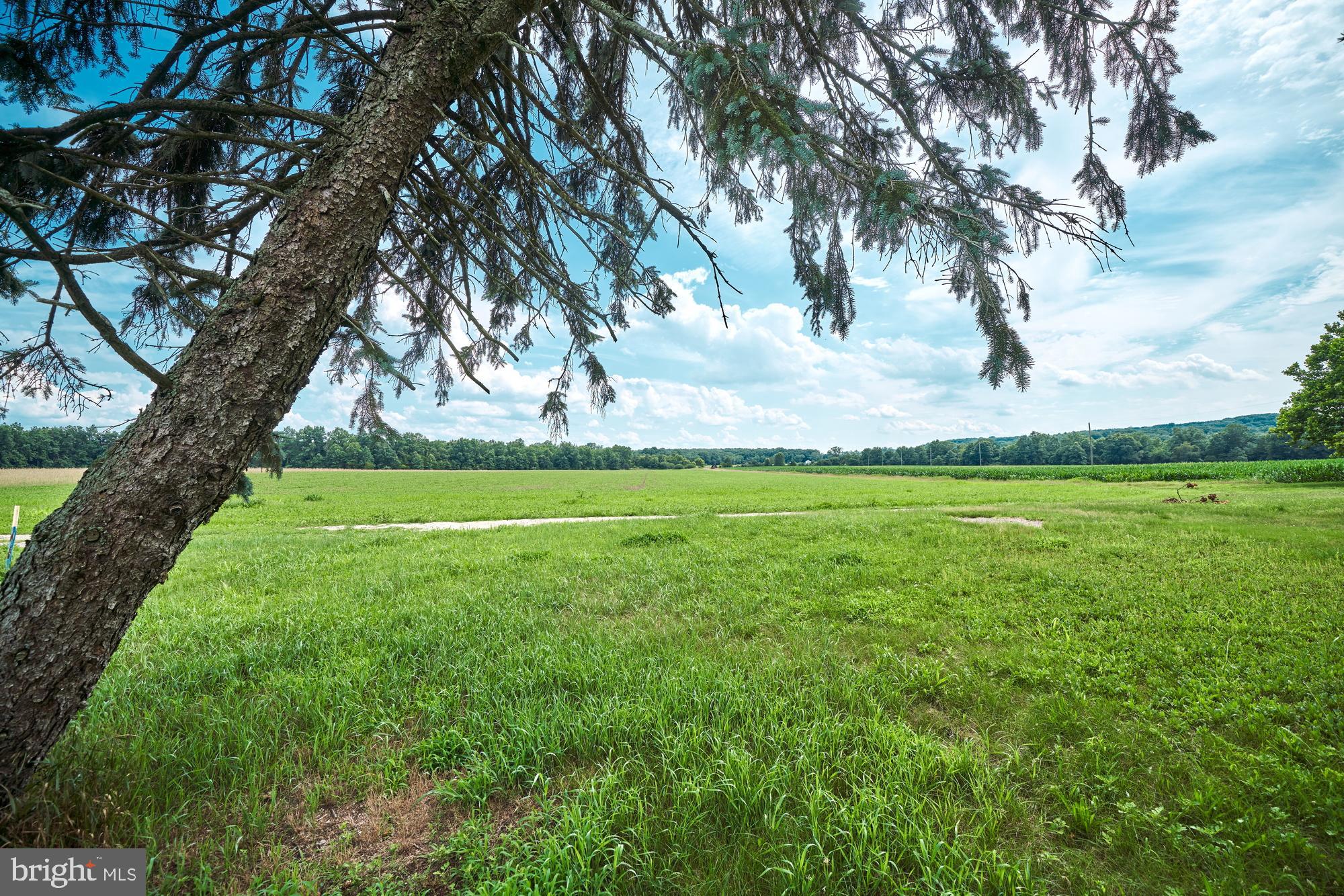 251 Juliustown Road Jobstown, NJ 08041 - Photo 41 of 114