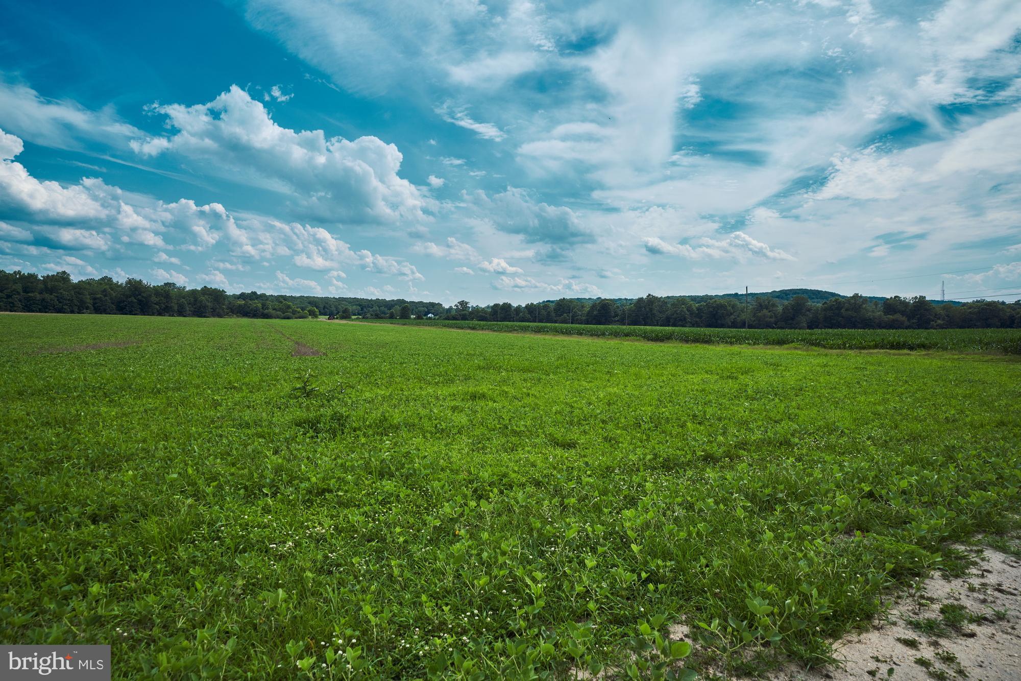251 Juliustown Road Jobstown, NJ 08041 - Photo 43 of 114