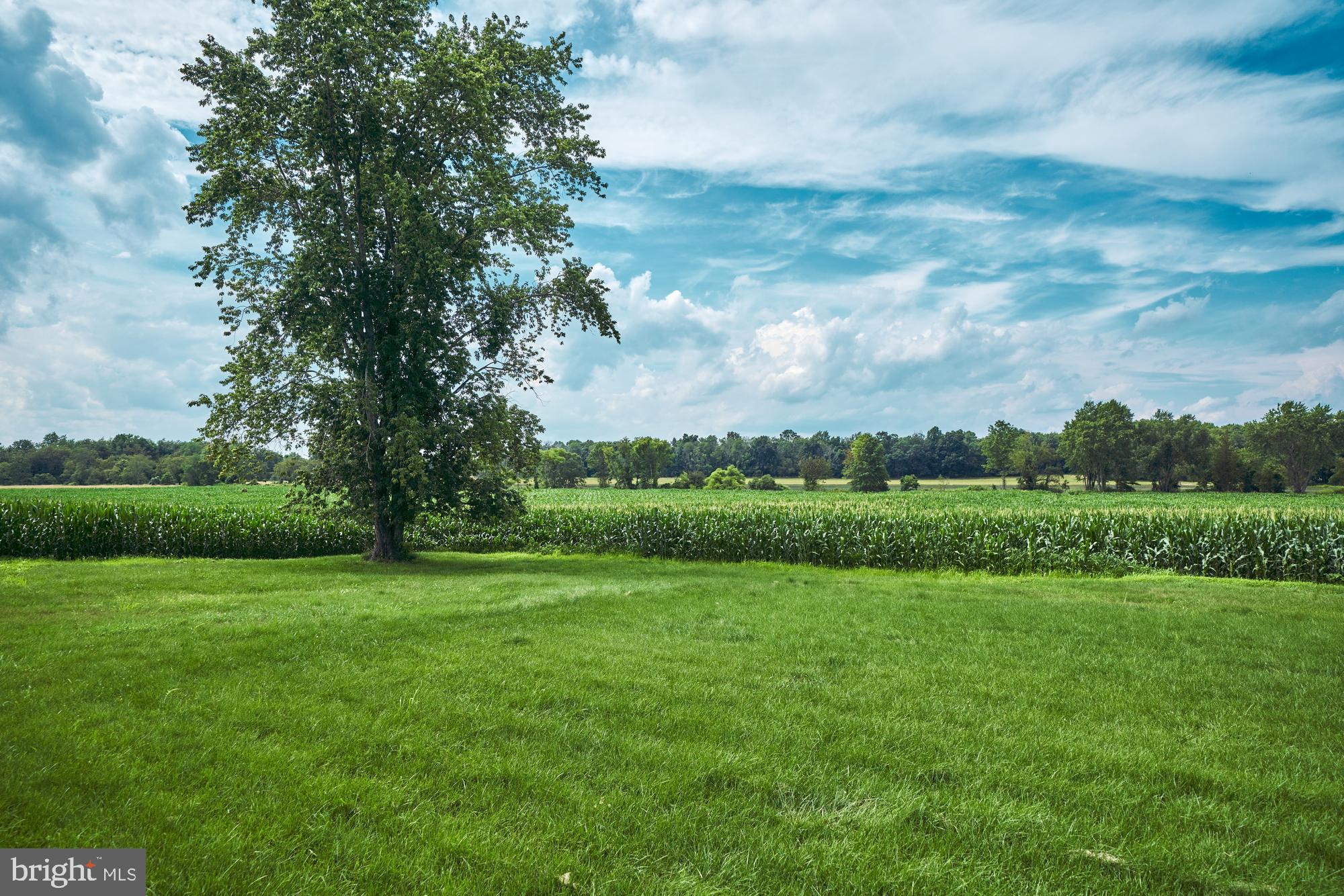 251 Juliustown Road Jobstown, NJ 08041 - Photo 48 of 114