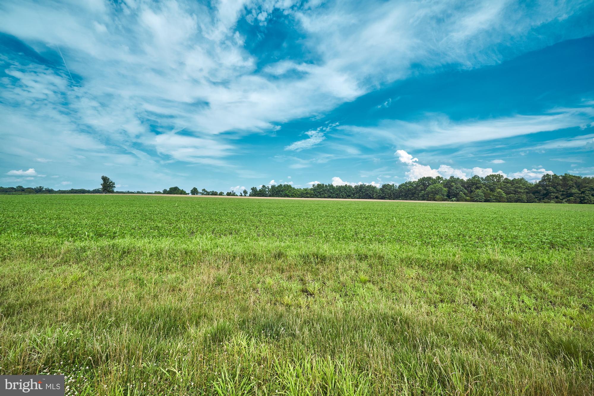 251 Juliustown Road Jobstown, NJ 08041 - Photo 55 of 114