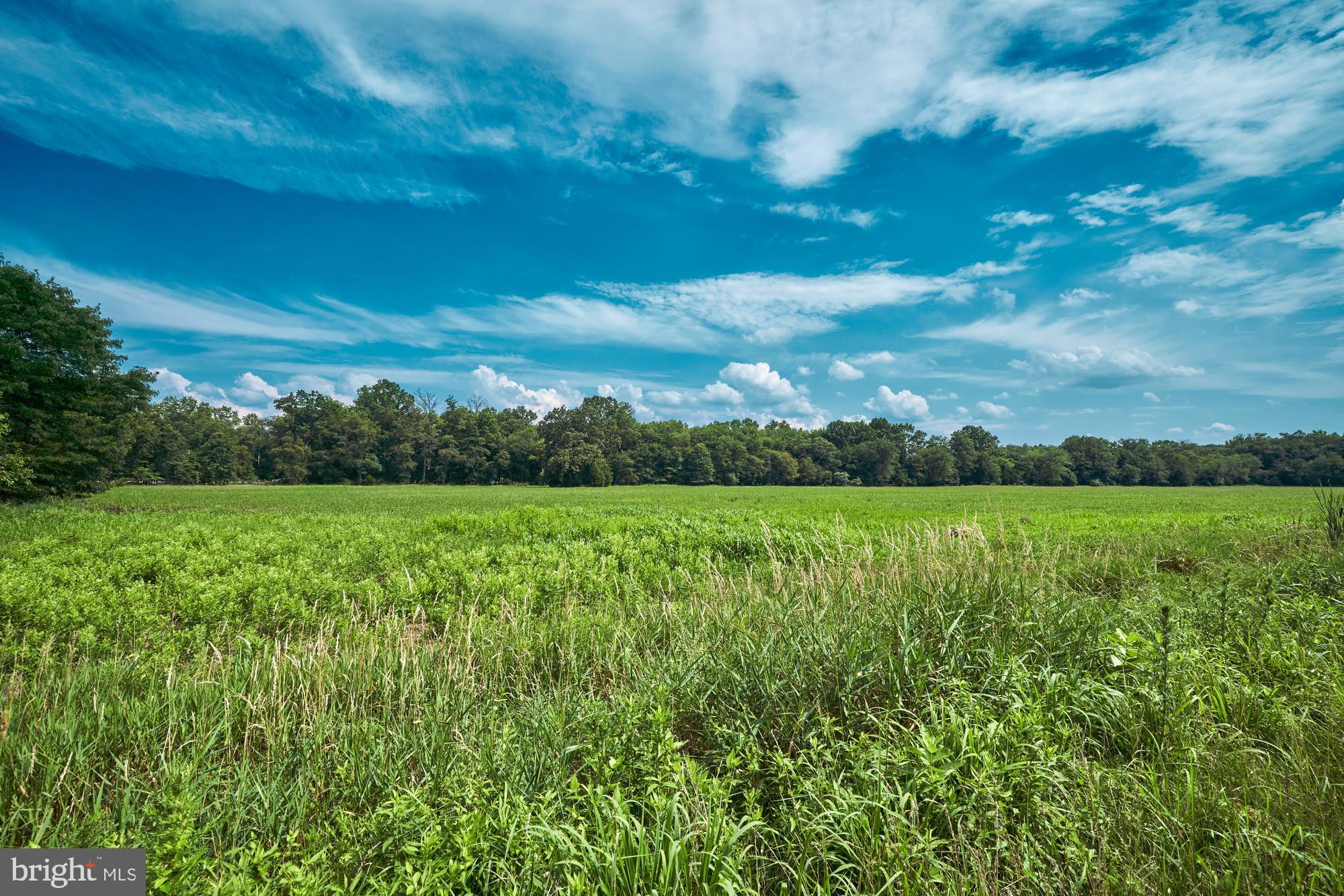 251 Juliustown Road Jobstown, NJ 08041 - Photo 62 of 114