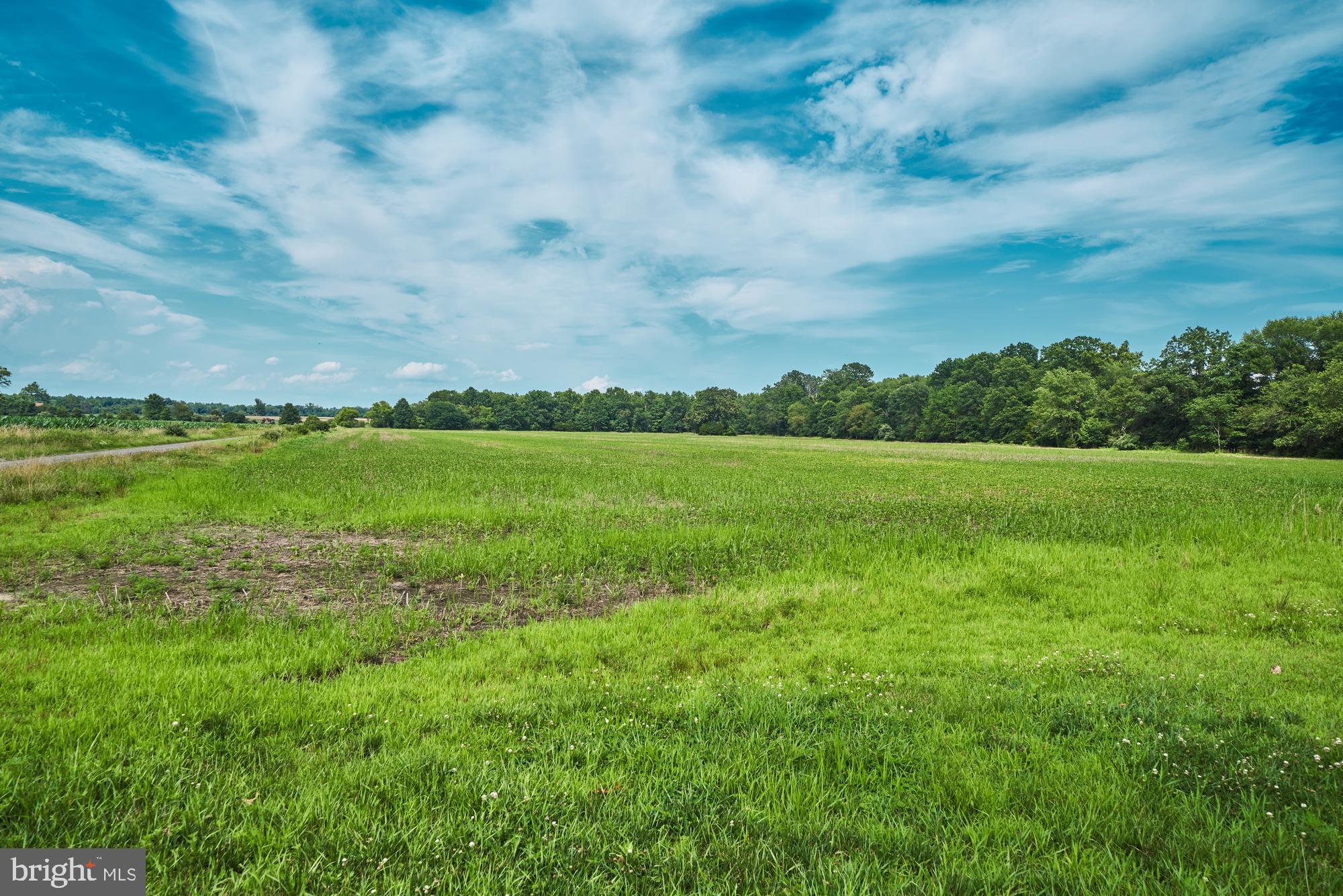 251 Juliustown Road Jobstown, NJ 08041 - Photo 69 of 114