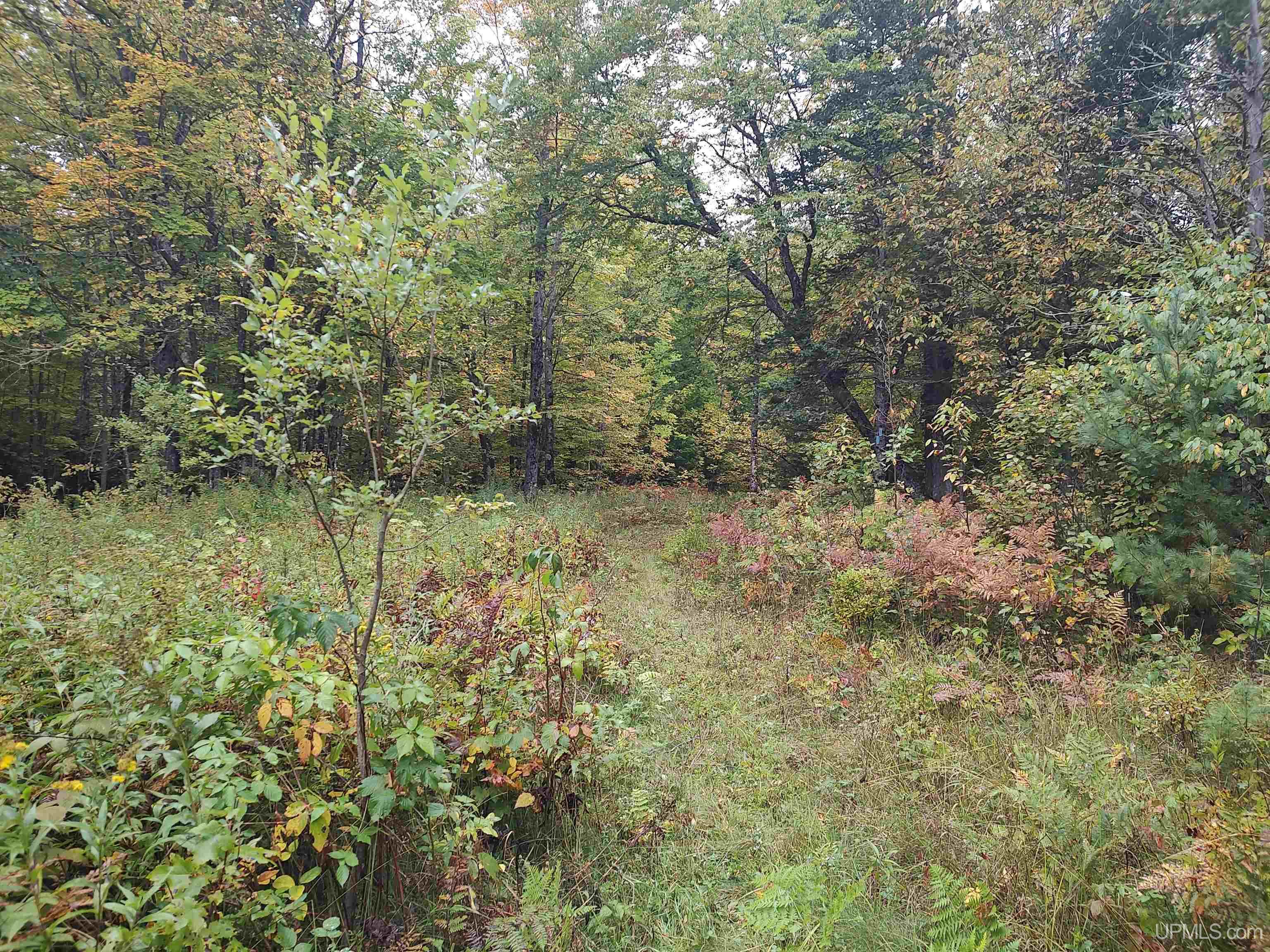 Tbd South Laird Road Pelkie, MI 49958 - Photo 12 of 25