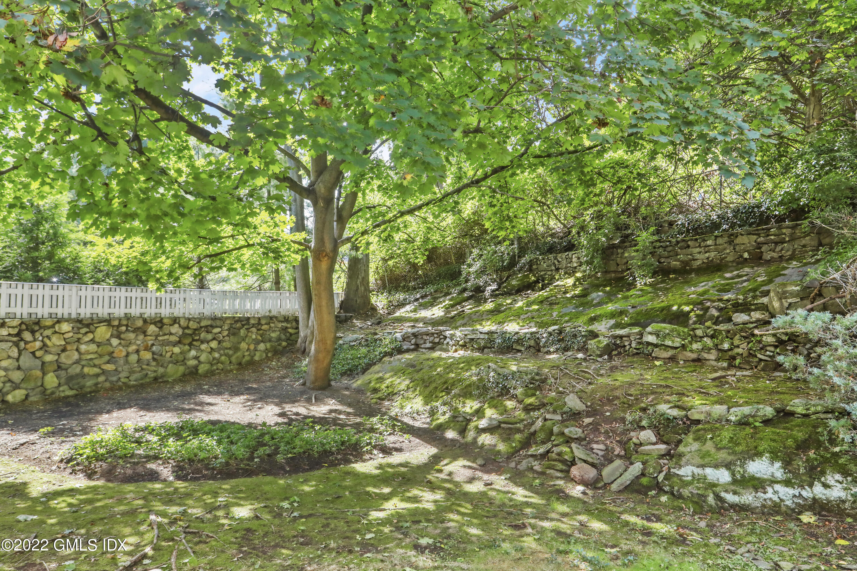 5 Skylark Road Greenwich, CT 06830 - Photo 16 of 21 a view of a yard with a tree