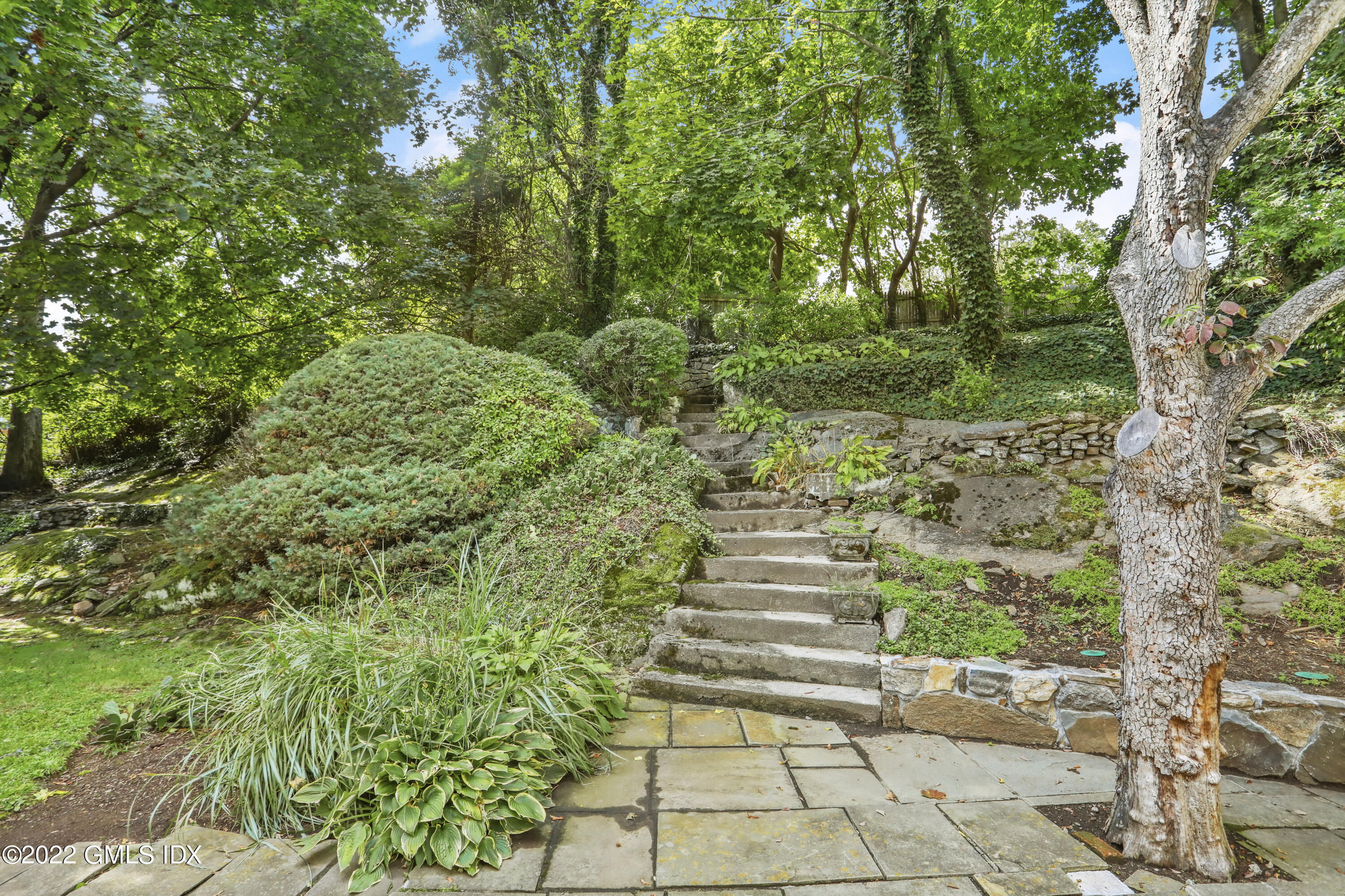 5 Skylark Road Greenwich, CT 06830 - Photo 18 of 21 a view of a yard with plants and large trees