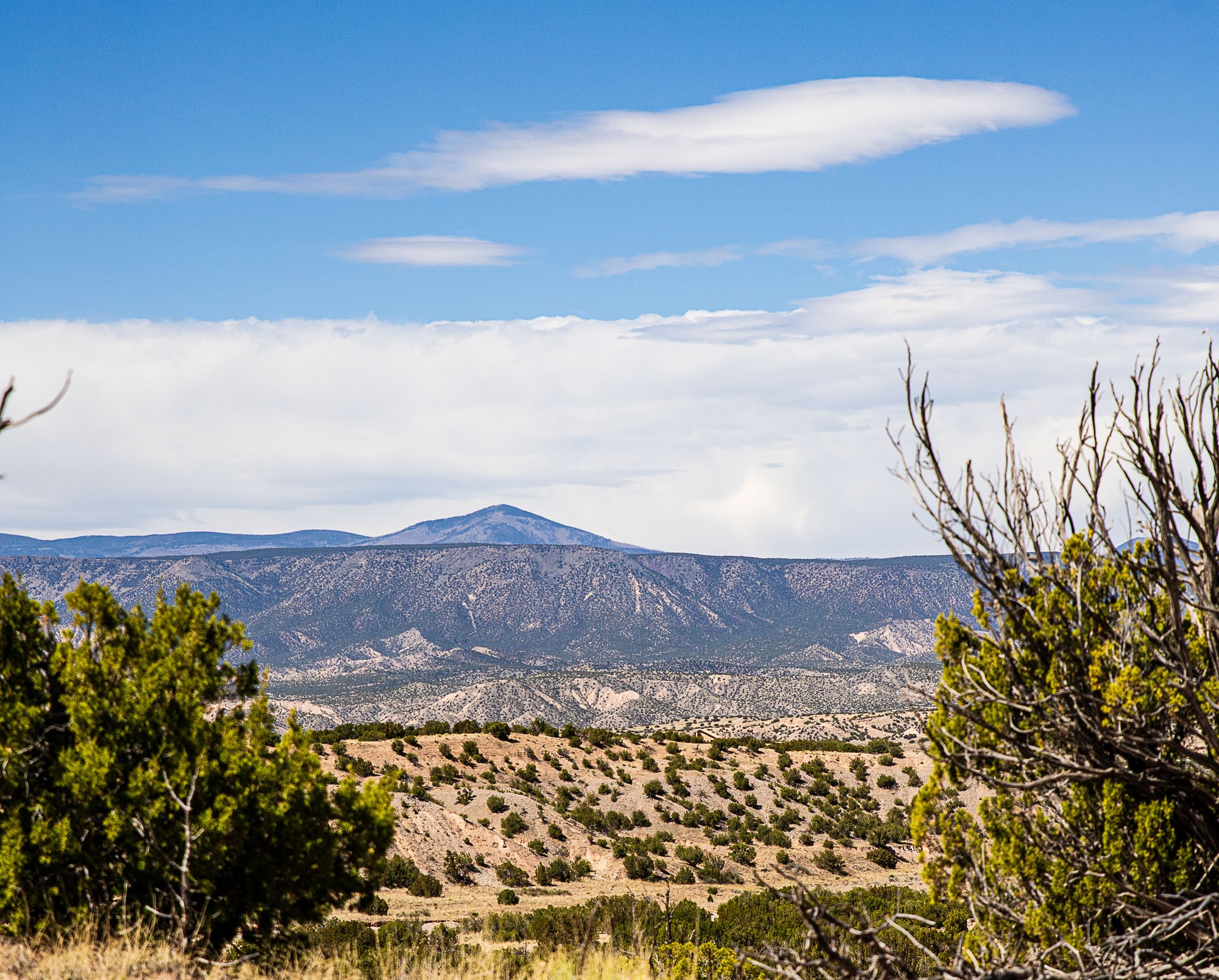 0 El Rito Estates Abiquiu, NM 87510 - Photo 52 of 56