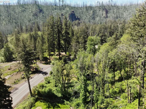 $160,000 | 49513 McKenzie Highway, Vida, OR 97488