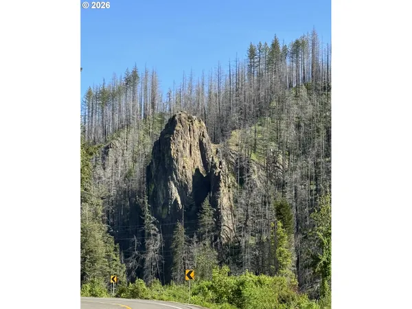 $160,000 | 49513 McKenzie Highway, Vida, OR 97488