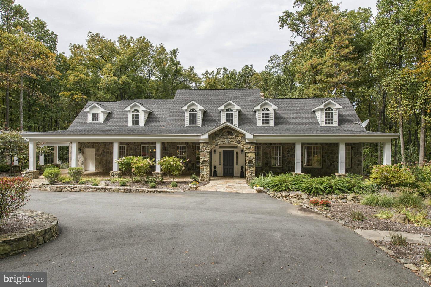 19681 Blue Ridge Mountain Road Bluemont, VA 20135 - Photo 2 of 30 Exterior (Front)